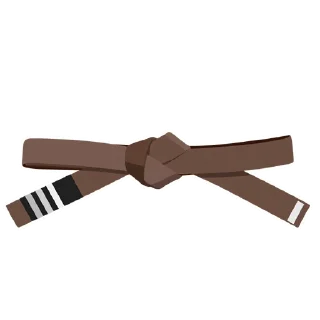 3️⃣-BJJ Ranks Vol. 4, Telegram Sticker