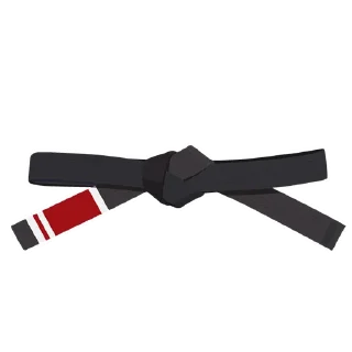 1️⃣-BJJ Ranks Vol. 4, Telegram Sticker