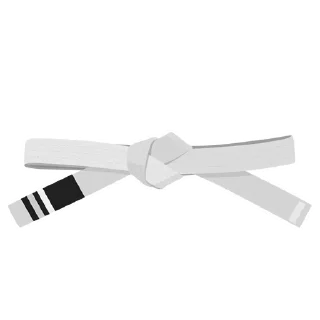 2️⃣-BJJ Ranks Vol. 4, Telegram Sticker