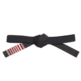 6️⃣-BJJ Ranks Vol. 4, Telegram Sticker
