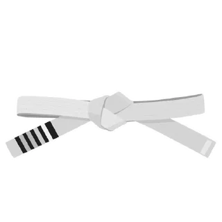 4️⃣-BJJ Ranks Vol. 4, Telegram Sticker