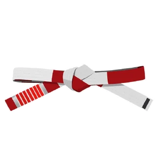 🇧🇷-BJJ Ranks Vol. 4, Telegram Sticker