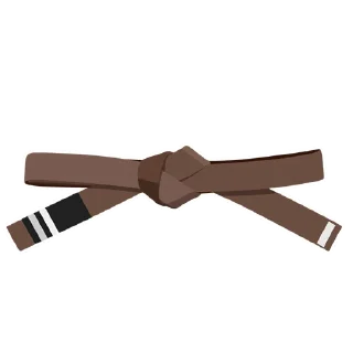 2️⃣-BJJ Ranks Vol. 4, Telegram Sticker