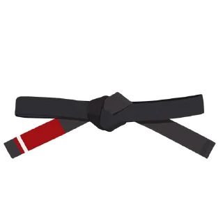 1️⃣-BJJ Ranks Vol. 4, Telegram Sticker