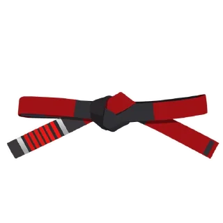 🇧🇷-BJJ Ranks Vol. 4, Telegram Sticker