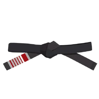 5️⃣-BJJ Ranks Vol. 4, Telegram Sticker