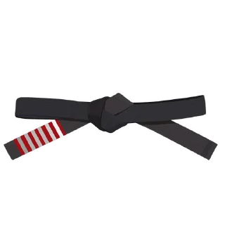 6️⃣-BJJ Ranks Vol. 4, Telegram Sticker