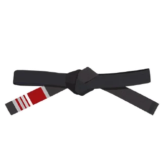3️⃣-BJJ Ranks Vol. 4, Telegram Sticker