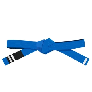 2️⃣-BJJ Ranks Vol. 4, Telegram Sticker