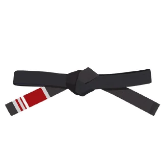 2️⃣-BJJ Ranks Vol. 4, Telegram Sticker