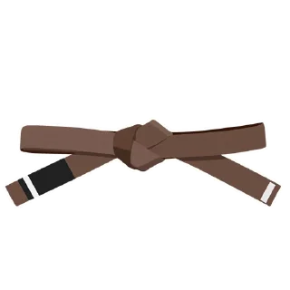 2️⃣-BJJ Ranks Vol. 4, Telegram Sticker