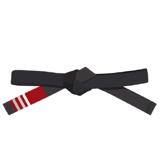 3️⃣-BJJ Ranks Vol. 4, Telegram Sticker
