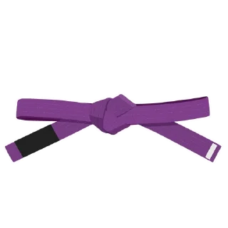 🟣-BJJ Ranks Vol. 4, Telegram Sticker