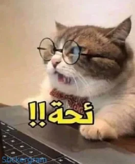 🌚-ﻣُلھِمھہ ةة, Telegram Sticker