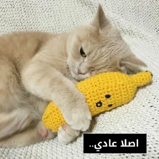 🥲-ﻣُلھِمھہ ةة, Telegram Sticker