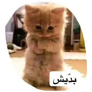 🥲-ﻣُلھِمھہ ةة, Telegram Sticker