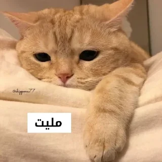 🥲-ﻣُلھِمھہ ةة, Telegram Sticker