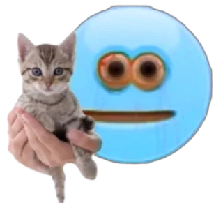 🐱-Blue Sultan 𝘽𝙮 @Team_SEBO, Telegram Sticker