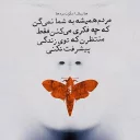 👍-Behrang Namdari Artworks, Telegram Sticker