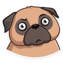 😐-Boone, Telegram Sticker