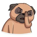 🤦-Boone, Telegram Sticker