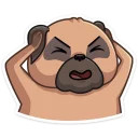 🙉-Boone, Telegram Sticker