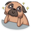 ✨-Boone, Telegram Sticker