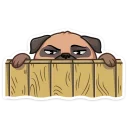 👀-Boone, Telegram Sticker