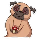😵-Boone, Telegram Sticker