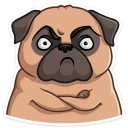 😠-Boone, Telegram Sticker