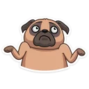 🤷-Boone, Telegram Sticker