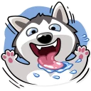 😃-Chuck the Husky, Telegram Sticker