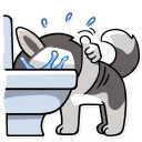 👍-Chuck the Husky, Telegram Sticker