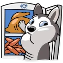 🍔-Chuck the Husky, Telegram Sticker