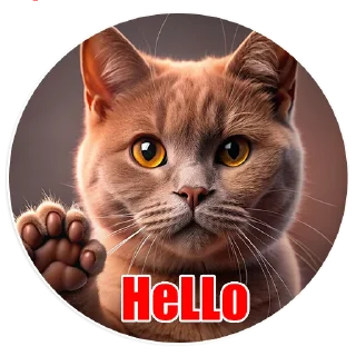 👋-Bri_kitty, Telegram Sticker