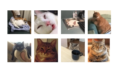 Broken Cats