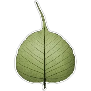 ☘-@Buddha_teaching, Telegram Sticker