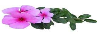 🍂-@Buddha_teaching, Telegram Sticker