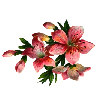 🌸-@Buddha_teaching, Telegram Sticker