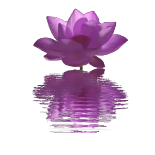 🌸-@Buddha_teaching, Telegram Sticker