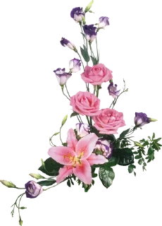 🌿-@Buddha_teaching, Telegram Sticker