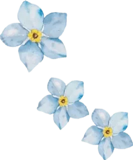 🌺-@Buddha_teaching, Telegram Sticker