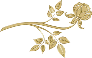🍃-@Buddha_teaching, Telegram Sticker