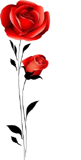 🥀-@Buddha_teaching, Telegram Sticker