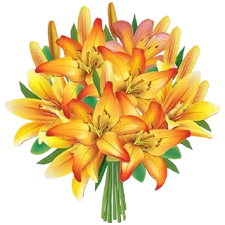 🌼-@Buddha_teaching, Telegram Sticker