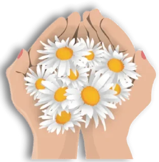 🌹-@Buddha_teaching, Telegram Sticker
