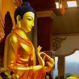 🌷-@Buddha_teaching, Telegram Sticker