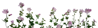 🌴-@Buddha_teaching, Telegram Sticker