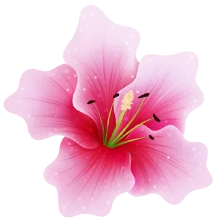 🌸-@Buddha_teaching, Telegram Sticker