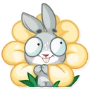 🌼-Boo the Bunny, Telegram Sticker